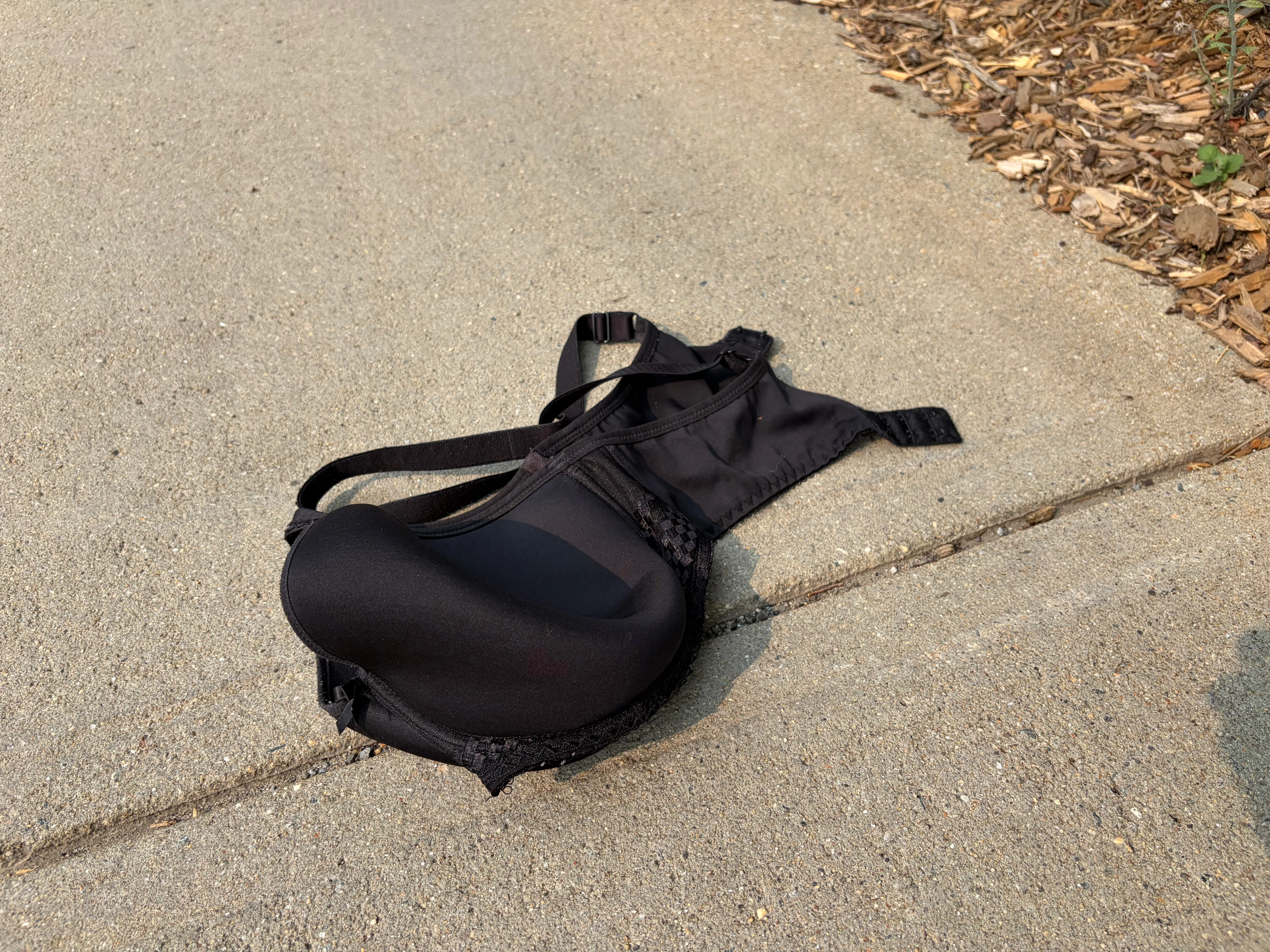 Photograph for "Giant Bra Just Lying There"