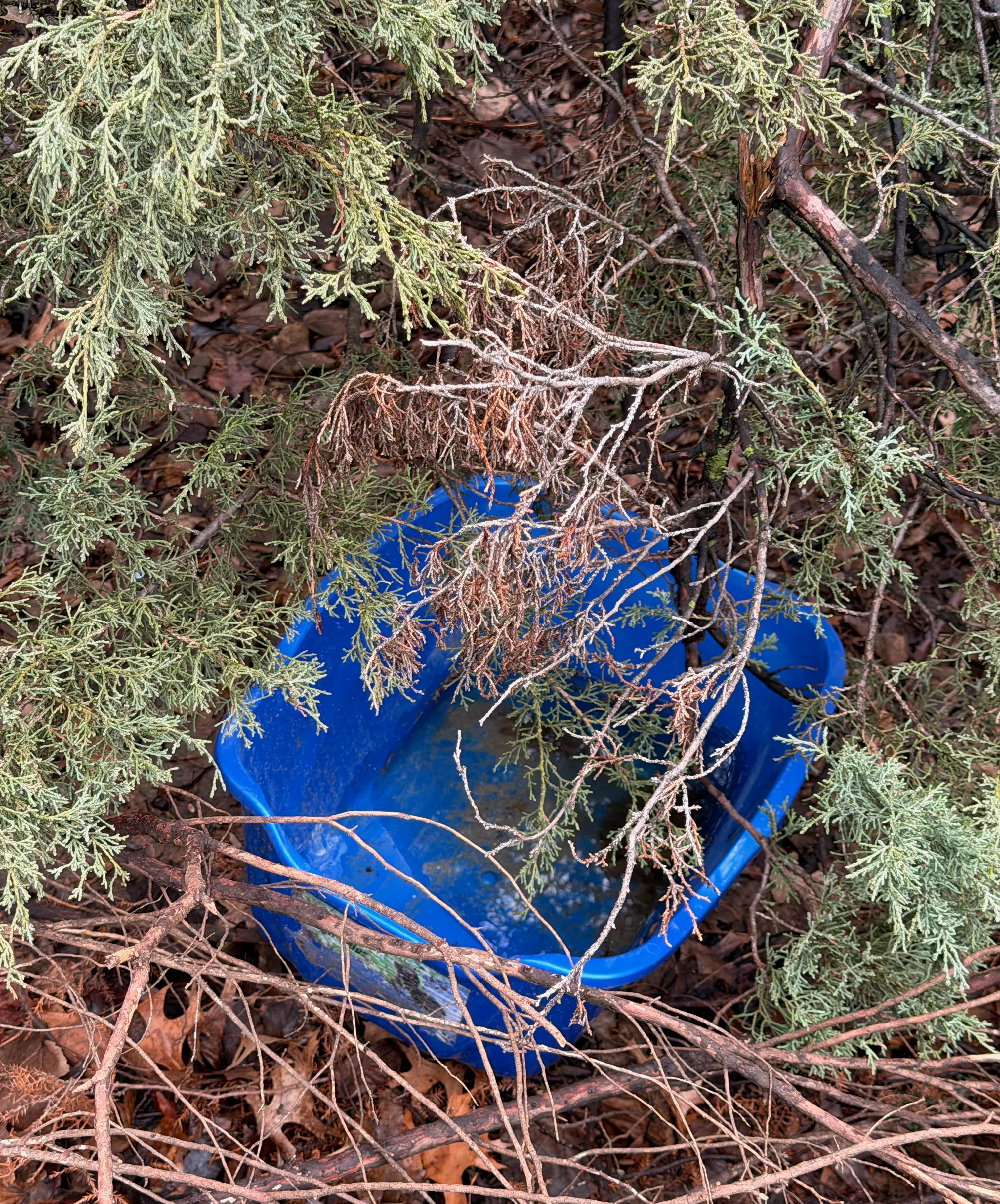 Photograph for "No Public Restrooms"